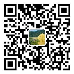 彩神v8官网